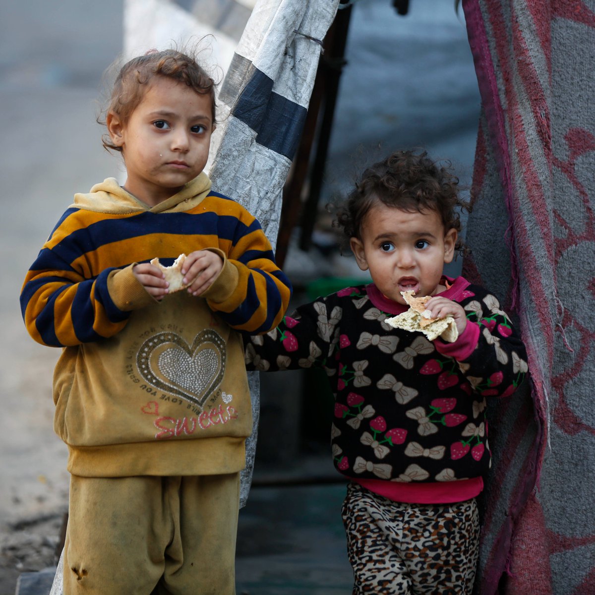 🔴 Jackie Chan: 

▪️ Geçtiğimiz günlerde bir video izledim.  Çocuğa "Büyüyünce ne olacaksın?" diye soruyorlar. O da "Bizim burada çocuklar büyümez" diyor.  

▪️ Evet Gazze, Gazze'nin çocukları.