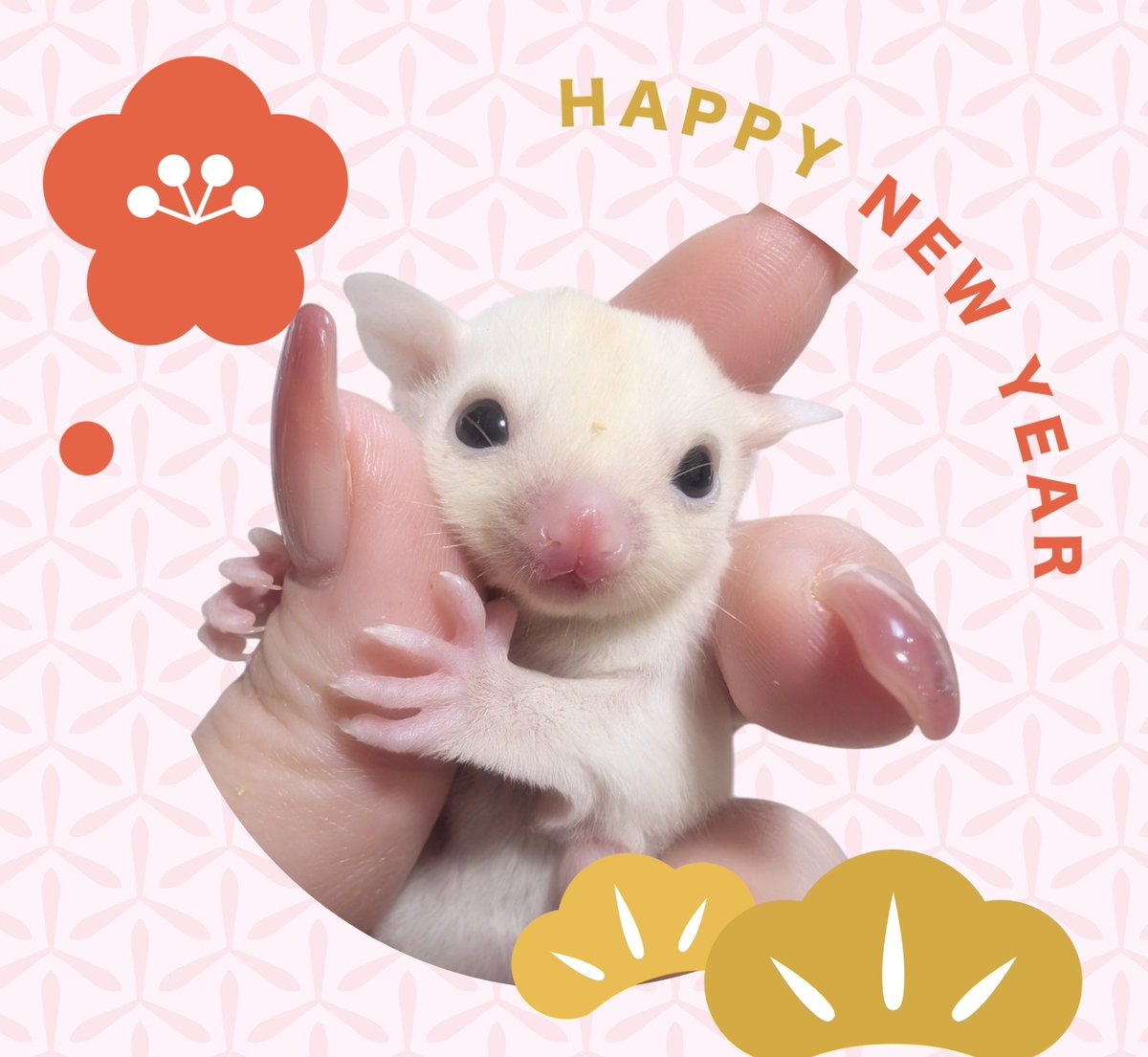 ふくもも　300円企画実施　2〜4日発送 冷凍6個】フルーツ専門店が作る フルーツミックス大福(5種類のフルーツ