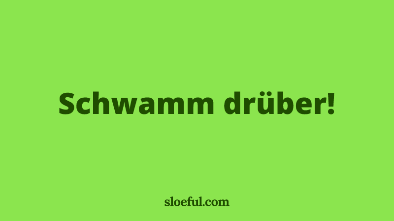 sloeful_german's tweet photo. 🇩🇪 Schwamm drüber!
🇬🇧 Let's just forget about it!

#learngerman #langtwt https://t.co/9NM2qpWUgB