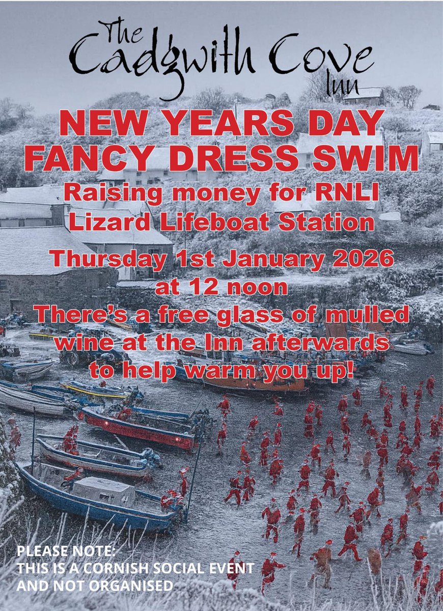 The Lizard Lifeboat tweet media