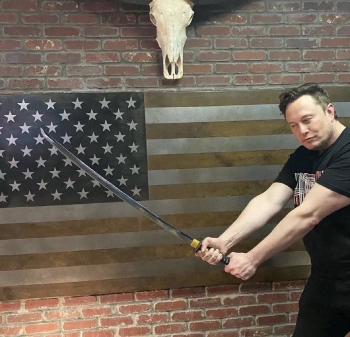 teslaownersSV's tweet image. "I will fight to my last drop of blood to ensure that 🇺🇸 remains the land of freedom and opportunity”

Elon Musk