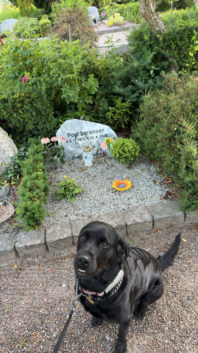 marie💕 tweet media