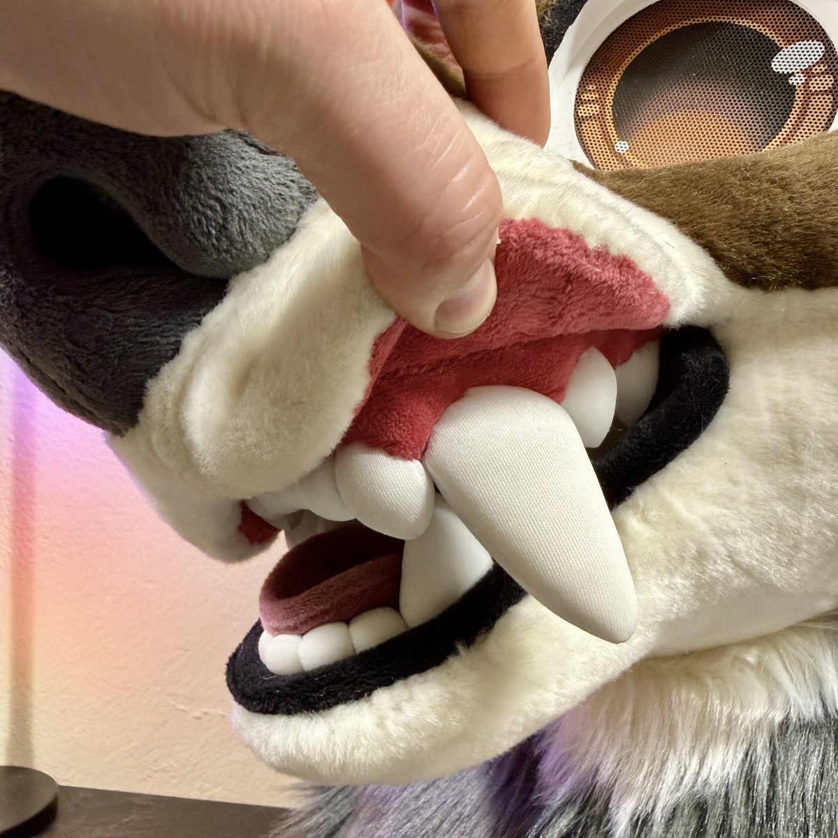 nukecreations's tweet image. Maws! 😁👀 #nukecreations #fursuit #toonyfursuit #fursuithead #cutefursuit