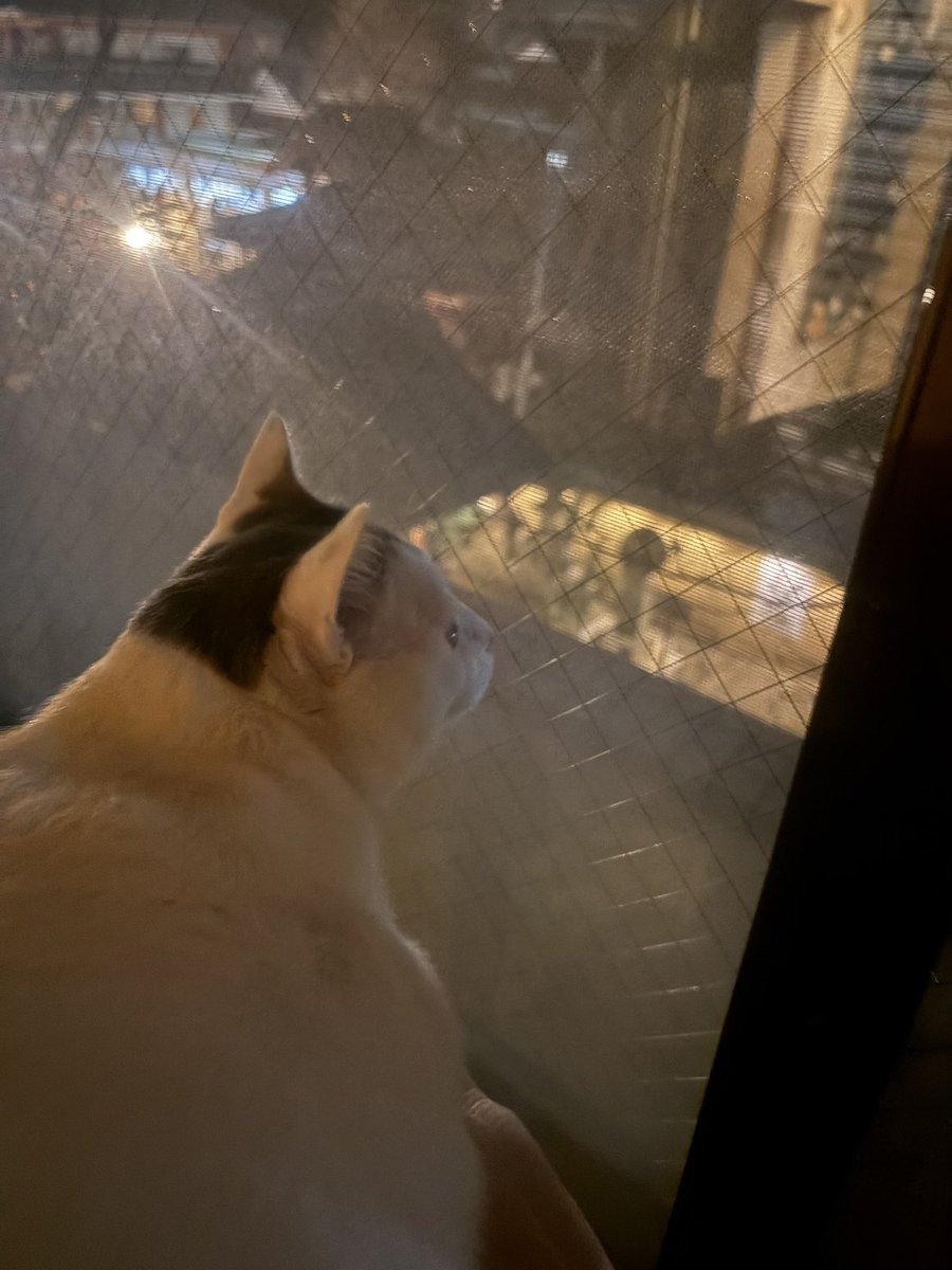 @$tunpoko$ tweet media