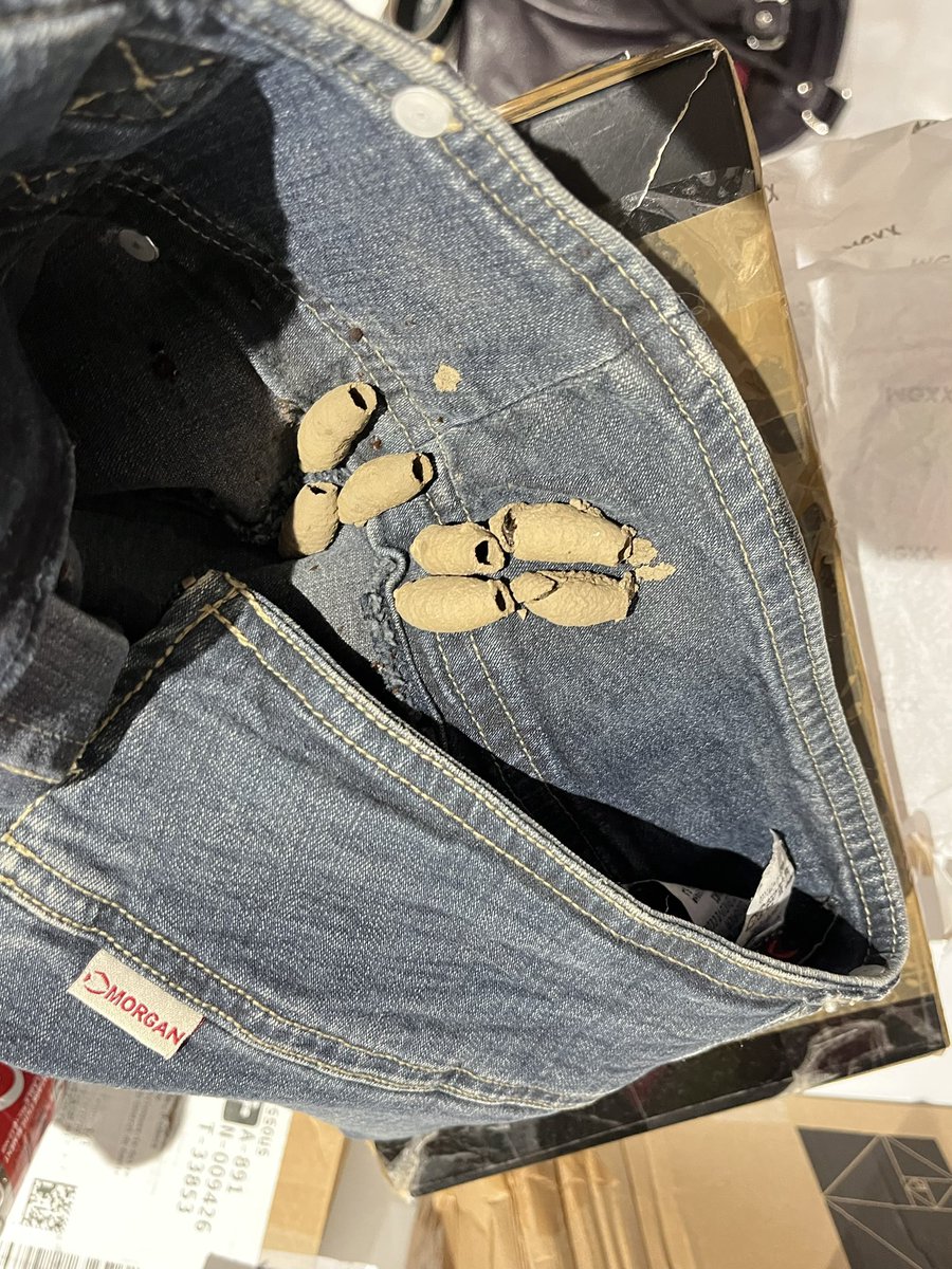 spleenprincess's tweet image. mdr j’ai acheté une jupe sur Vinted, à l’intérieur je trouve des sortes de cocons trop bizarres, je demande à ChatGPT c’est quoi il me dit que c’est un NID DE GUÊPES MAÇONNES 😂😂😂😂😂😂 je préfère en rire lv