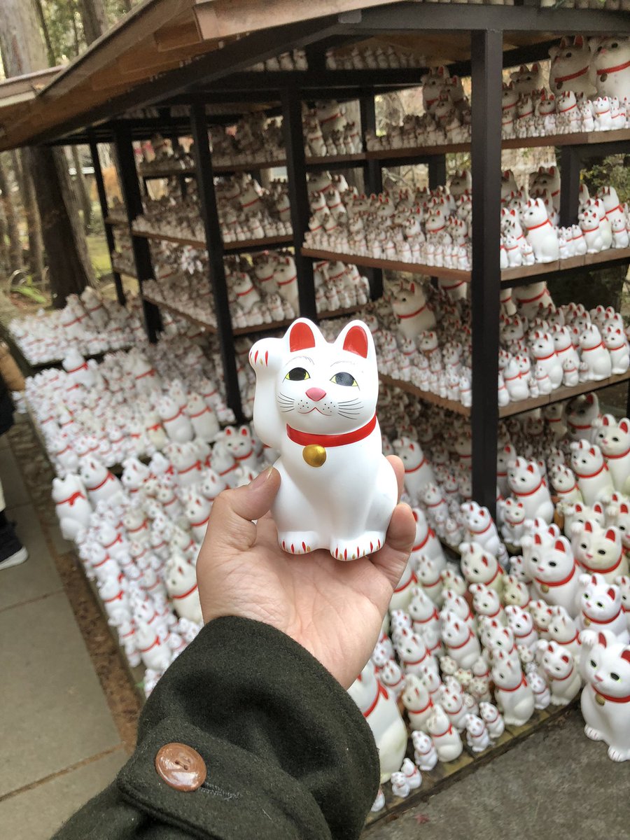 uokushi_nakano's tweet image. 明けましておめでとう御座います🎍

年始は５日(月)から
営業再開させて頂きます

今年も宜しくお願い致します🐈