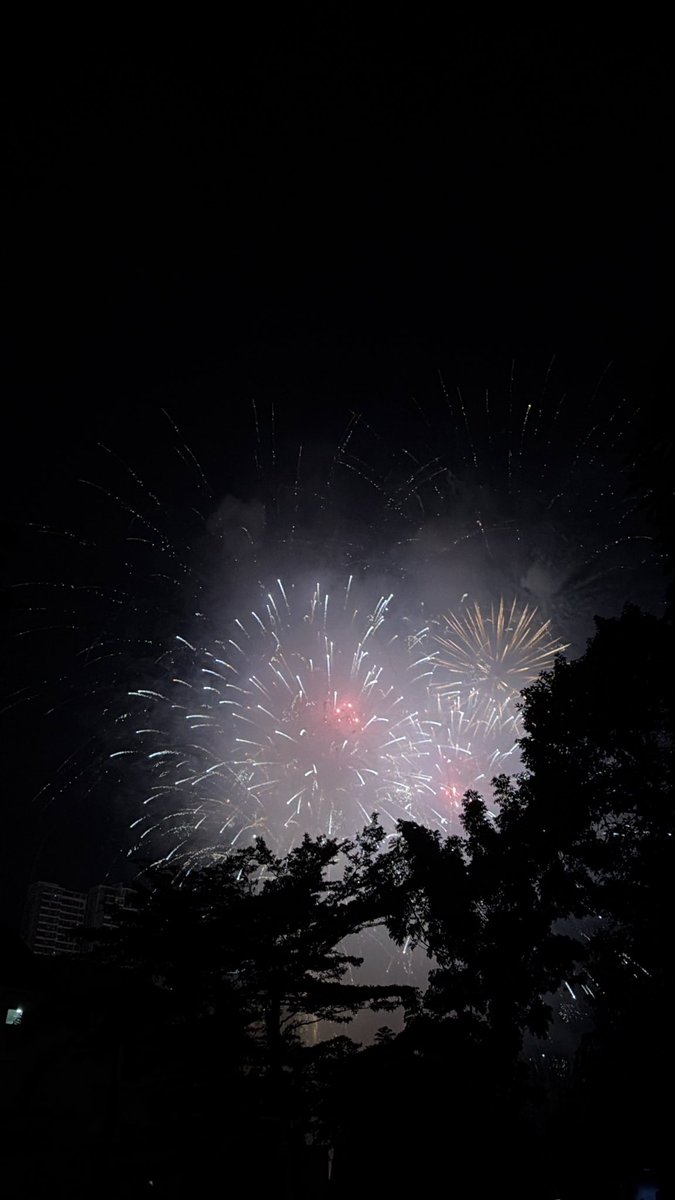 愿新年胜旧年🎆