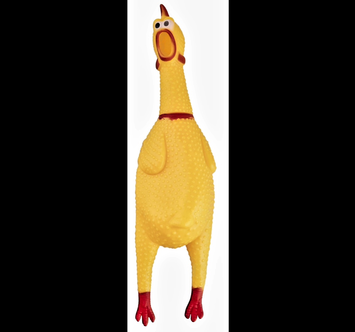 SagaceSeguace's tweet image. #RandomPics #Pollo #Santanche