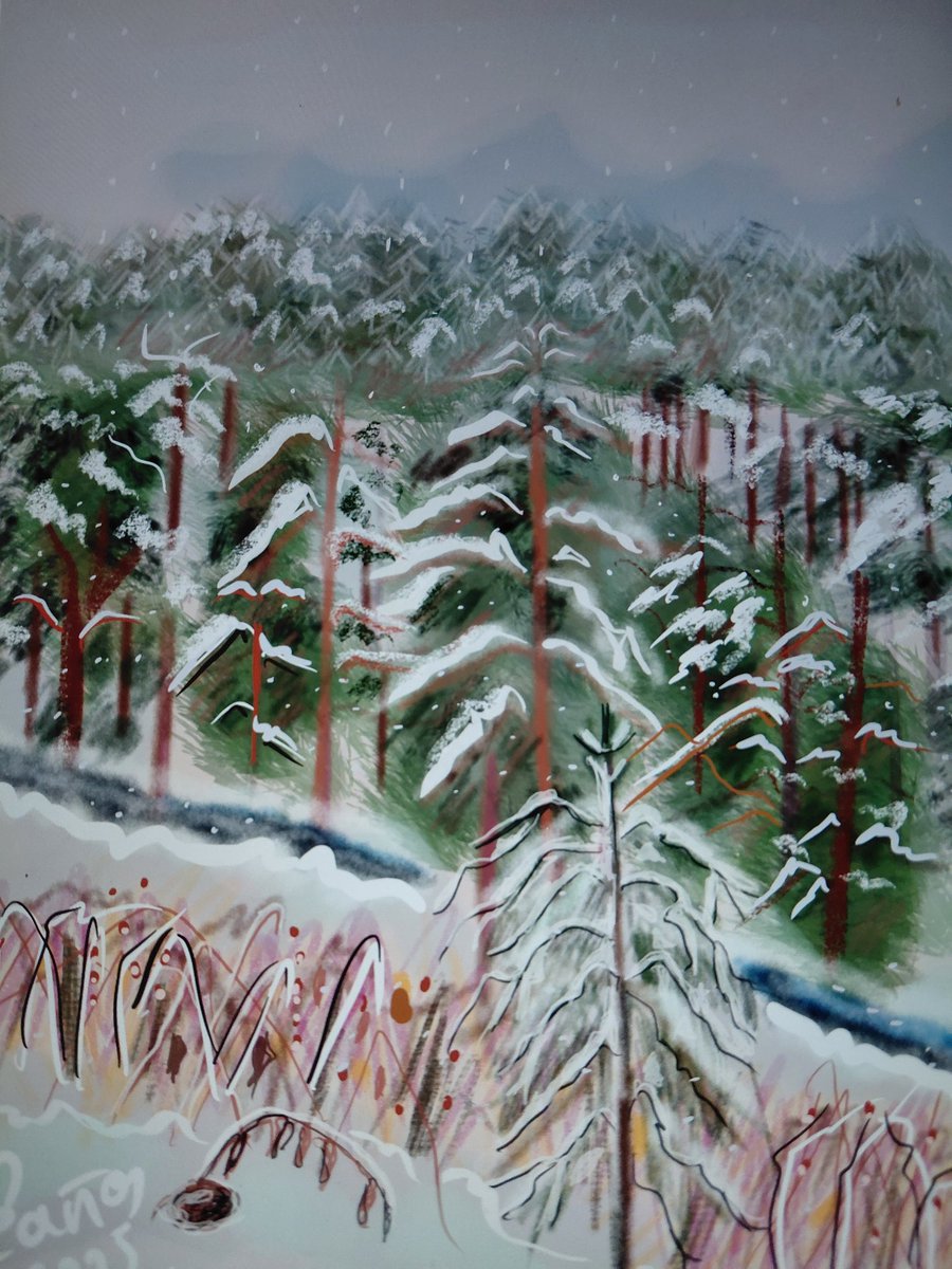 Creado con Procreate
El sábado pasado asi de bello lo vi
#felizaño2026
" No abandones nunca el amor y la verdad; llévalos contigo como un collar.
Grábatelos en la mente, y tendràs el favor  y el aprecio de Dios y delos hombres"
Proverbios 3: 3-4 biblia
#procreateart  #art