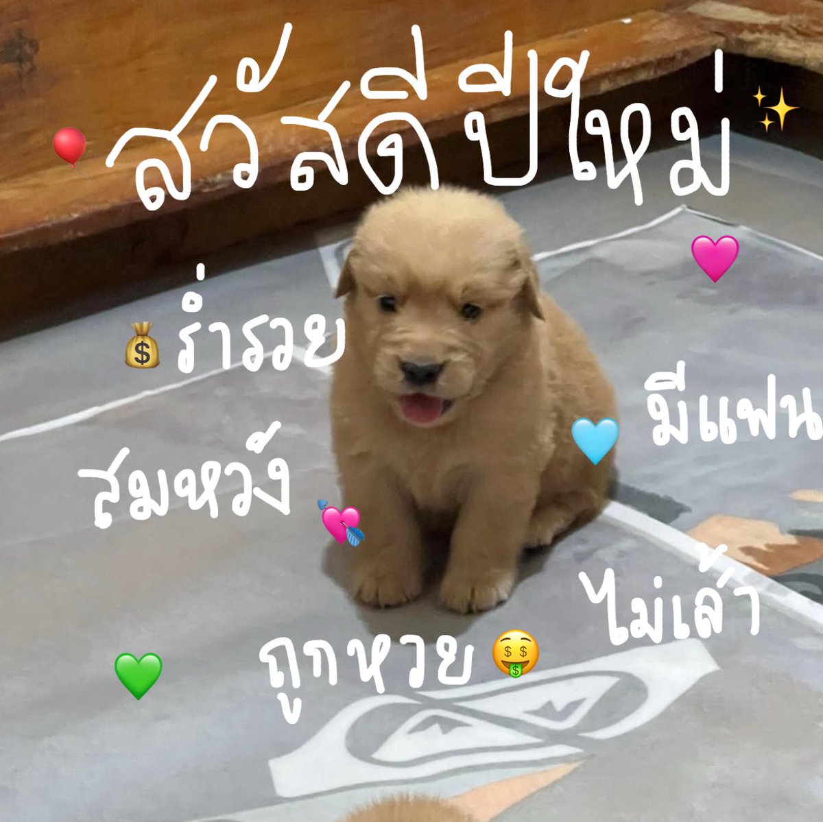 00:00 สวัสดีปีใหม่ 2026 ค่าบทุกคน ขอให้มีความสุก อยุ่ด้วยกันไปอีกนานๆเลยน่า 💘