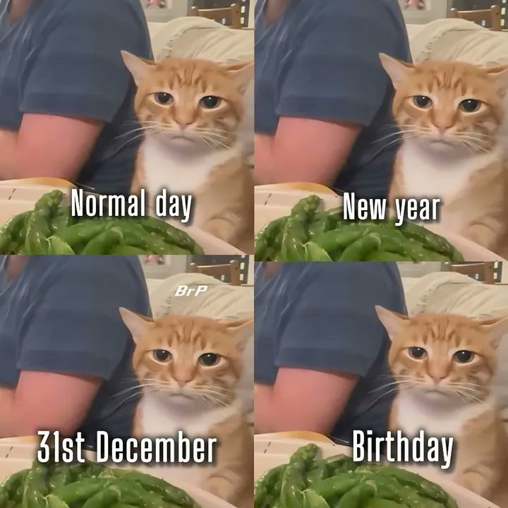 Puss🐱✨ tweet media