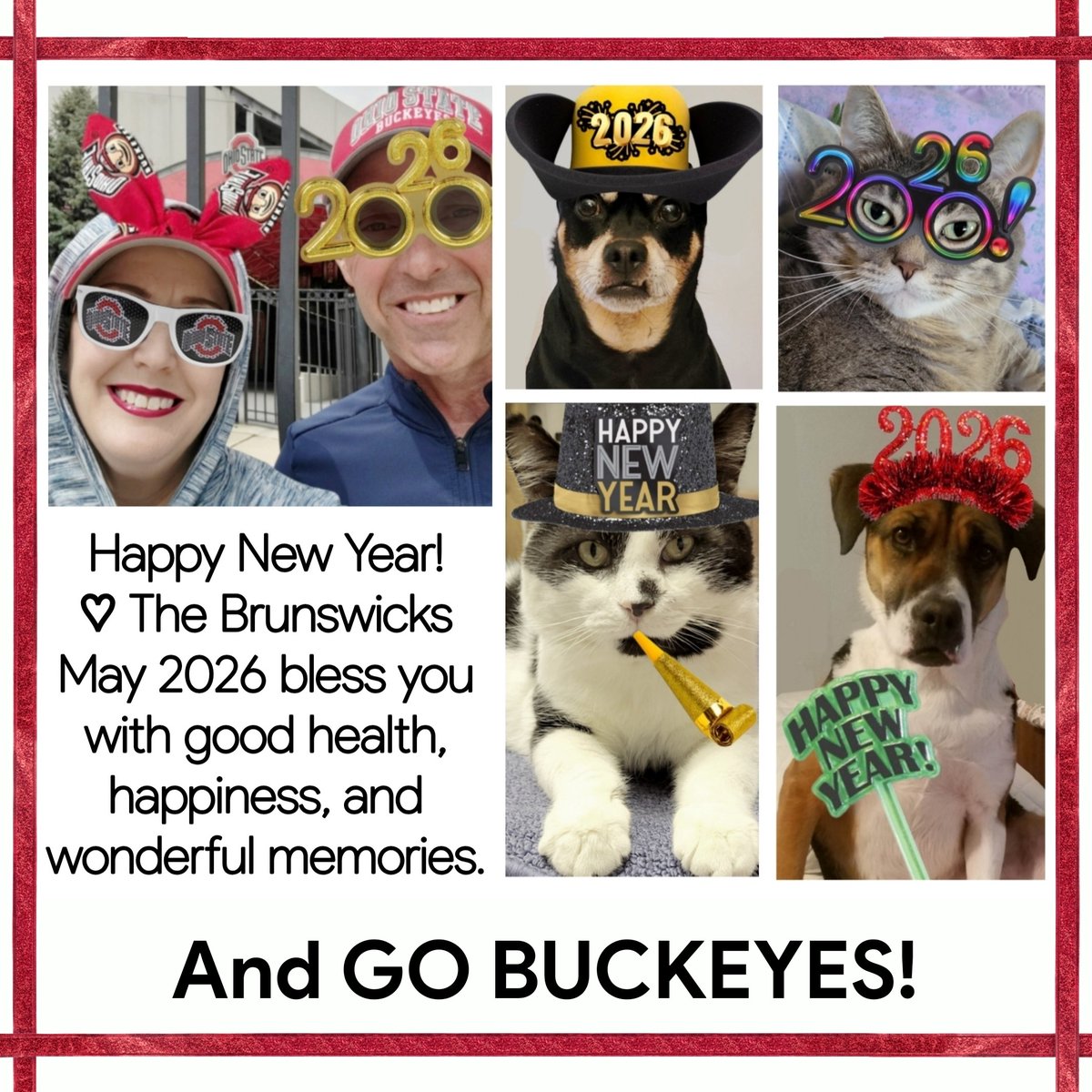 Sandy Brunswick tweet media