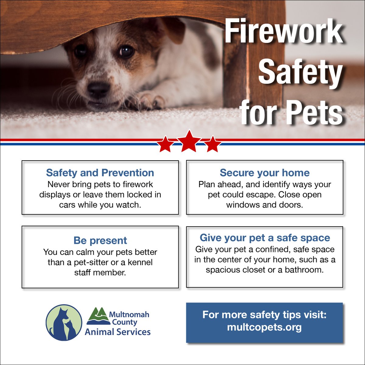 MultCoPets's tweet photo. Even with local restrictions on fireworks, prepare your pets and your home before the New Year:
Learn more: https://t.co/VNph8aYVZl
#HappyPets #PetComfort #HolidaySafety #CozyPets #PDXpets #PetTips https://t.co/8dnEpaSKTZ