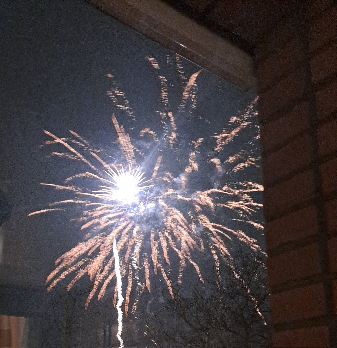 #Wybert ben net wakker. Door al het vuurwerkgeknal heen gesnurkt.
Vrouwmens en ikkie wensen alle furriendjes en personeel een vredig, gelukkig en vooraĺ een gezond 2026