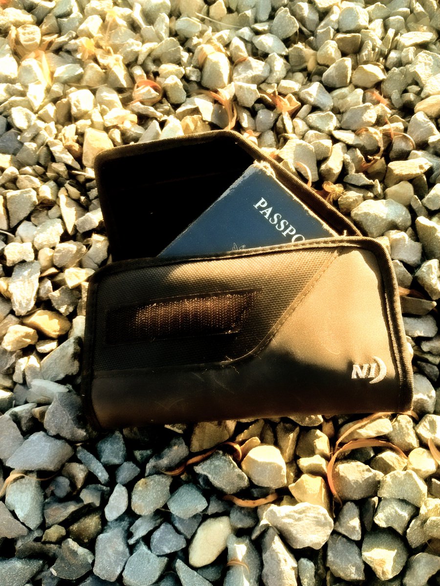 Tyler Halterman tweet media