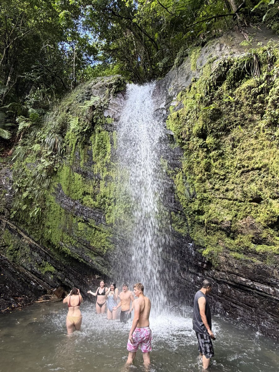 Feng Chu tweet media