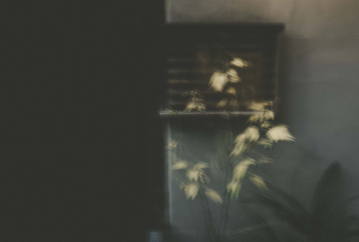 あけましておめでとうございます
今年は今まで以上に一つひとつの写真展に注力していきたいと思います
ご協力いただけるモデルさん、よろしくお願いします🙇
やりたいことたくさんあるのでチャレンジする気持ちを大切に過ごせたらと思っております