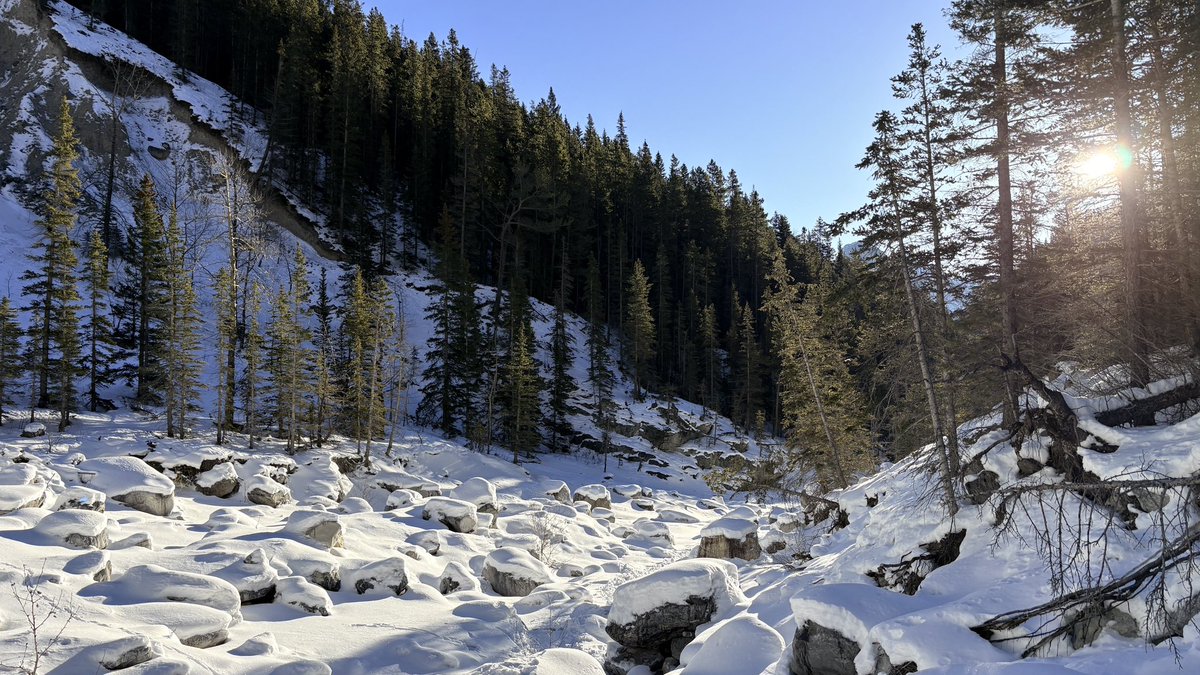 Tim Criddle tweet media