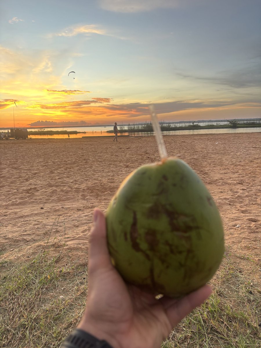 thebraintt's tweet image. Último pôr do sol de 2025!