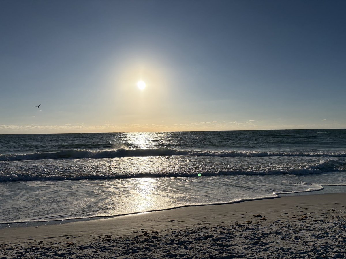 Gabe Grinder tweet media