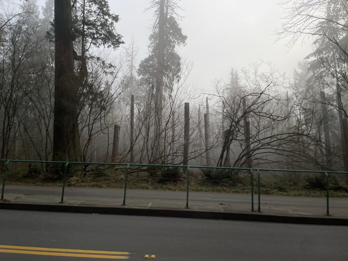 StormWarrior14 tweet media