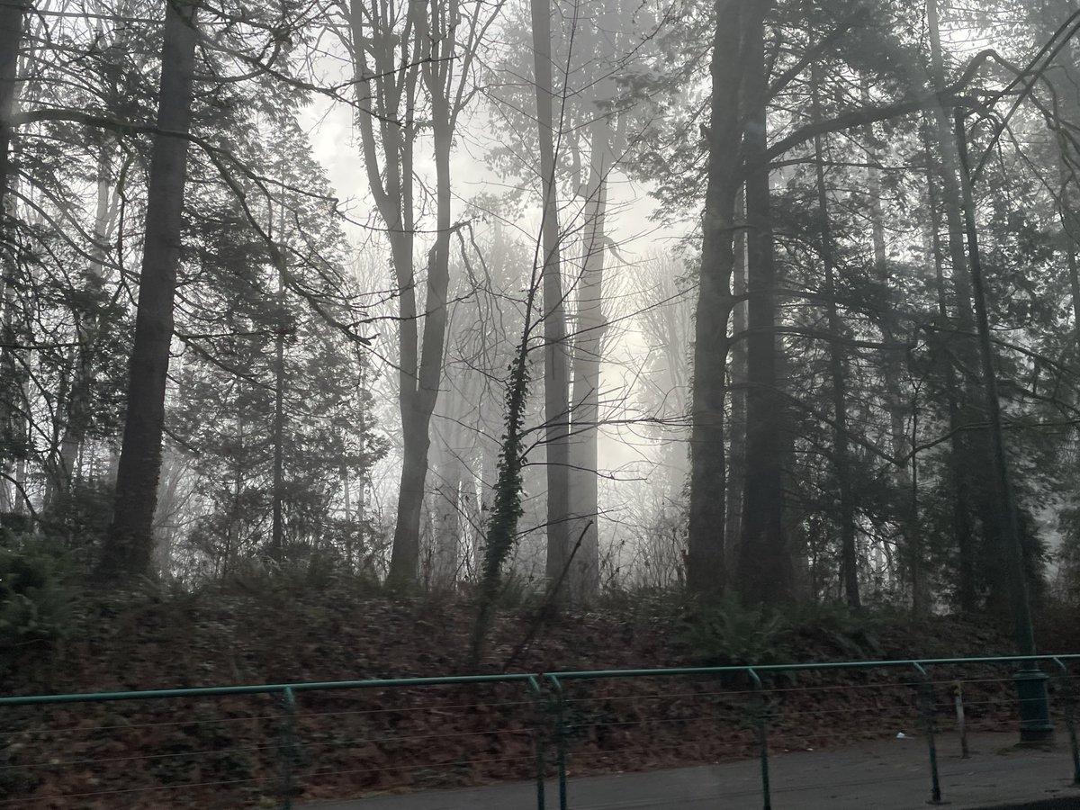 StormWarrior14 tweet media