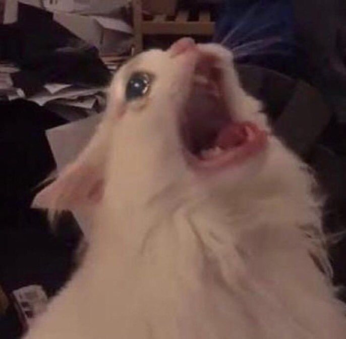 ﮼کَچاپْ tweet media