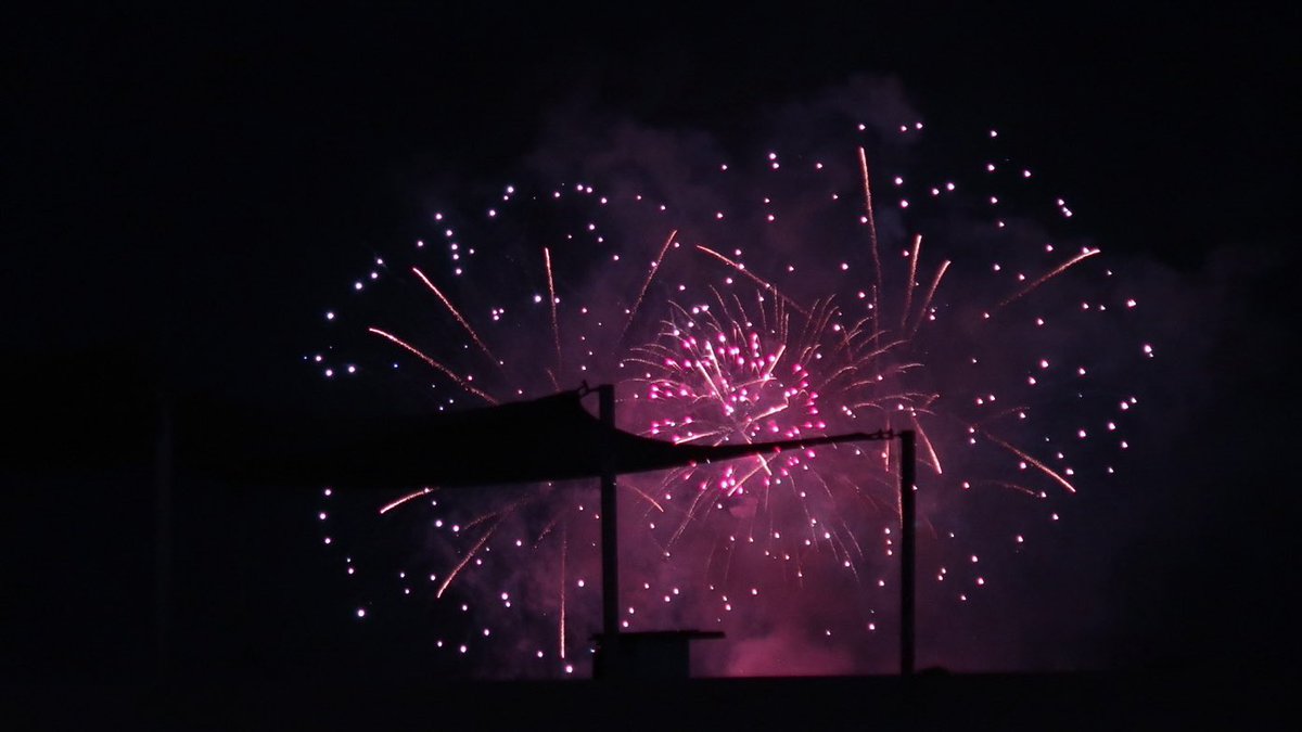 🎆 happy new year 🎆