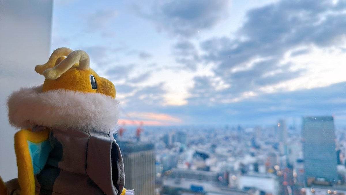 曇ってたね カイリュー🌅