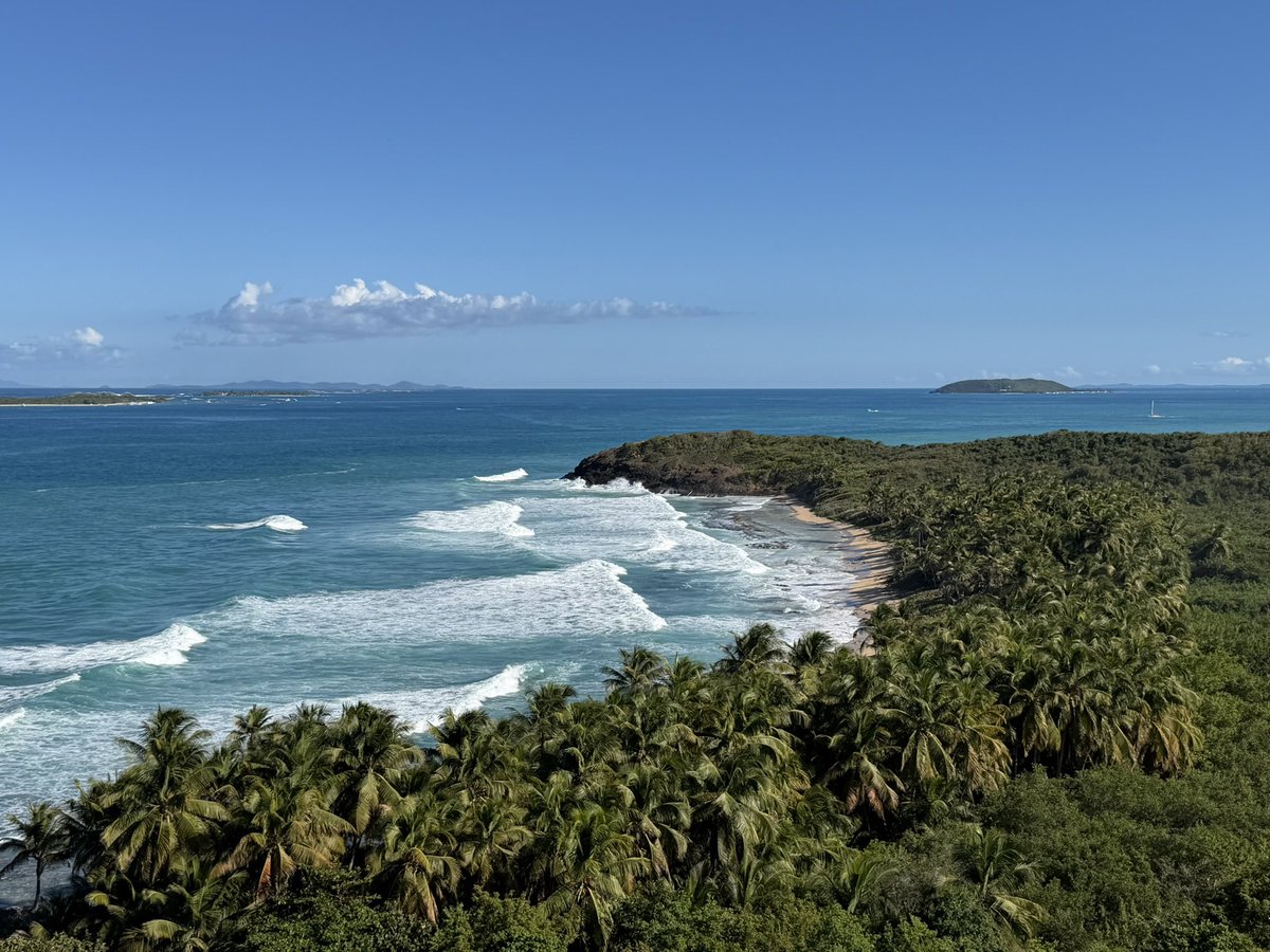 Feng Chu tweet media