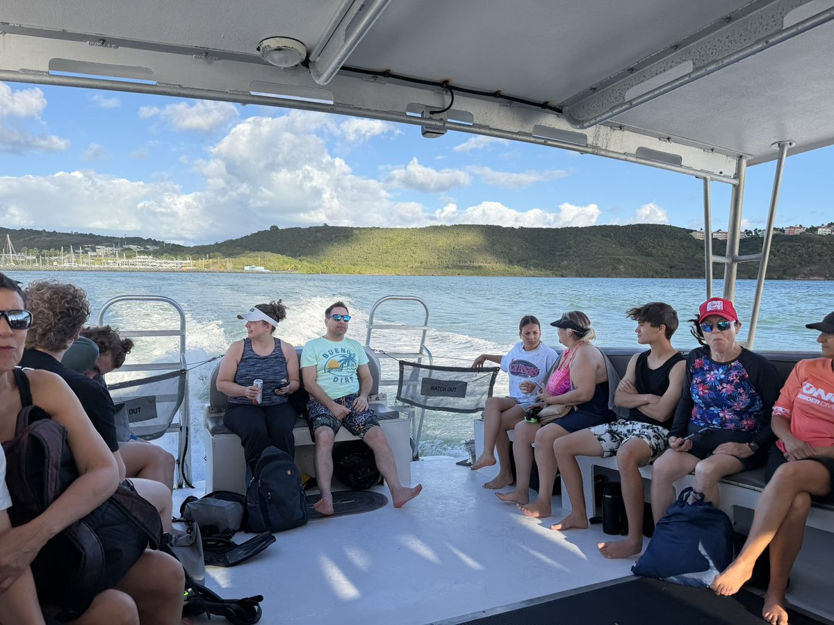 Feng Chu tweet media