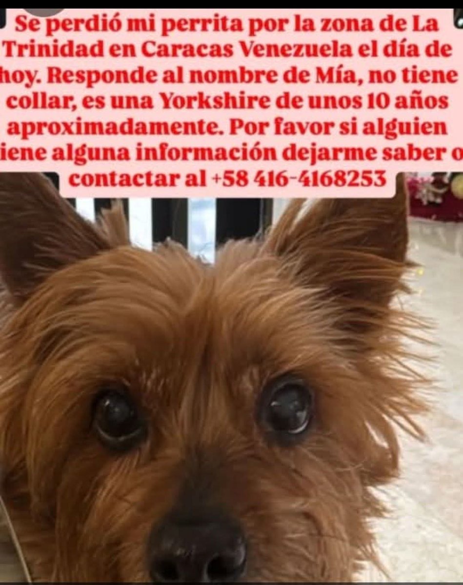 Se busca a Mía en la Trinidad, Baruta