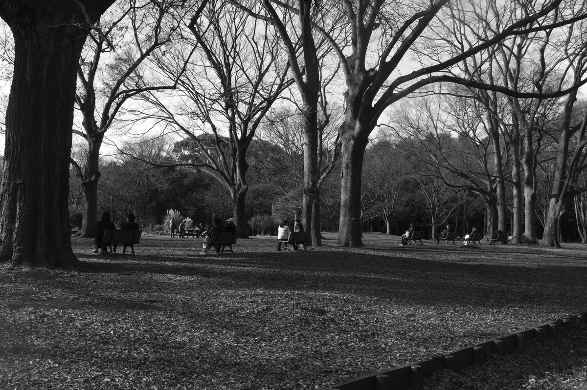 090oooo's tweet image. 明けましておめでとうございます！
本年もよろしくお願いします。

【街角スナップ】
Leica M Monochrom＋SUMMILUX-M f1.4/35mm ASPH