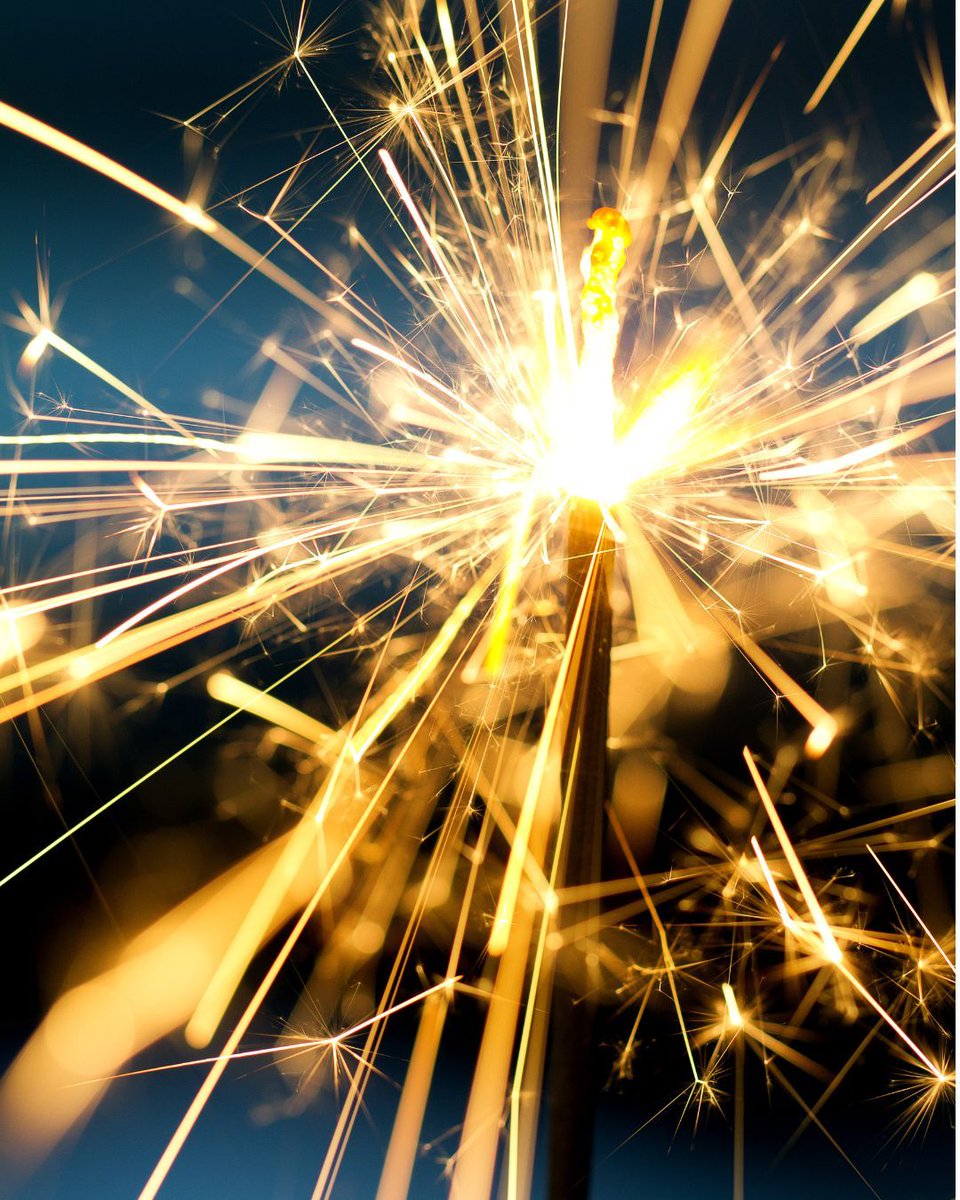 Ronit Molko, Ph.D., BCBA-D tweet media