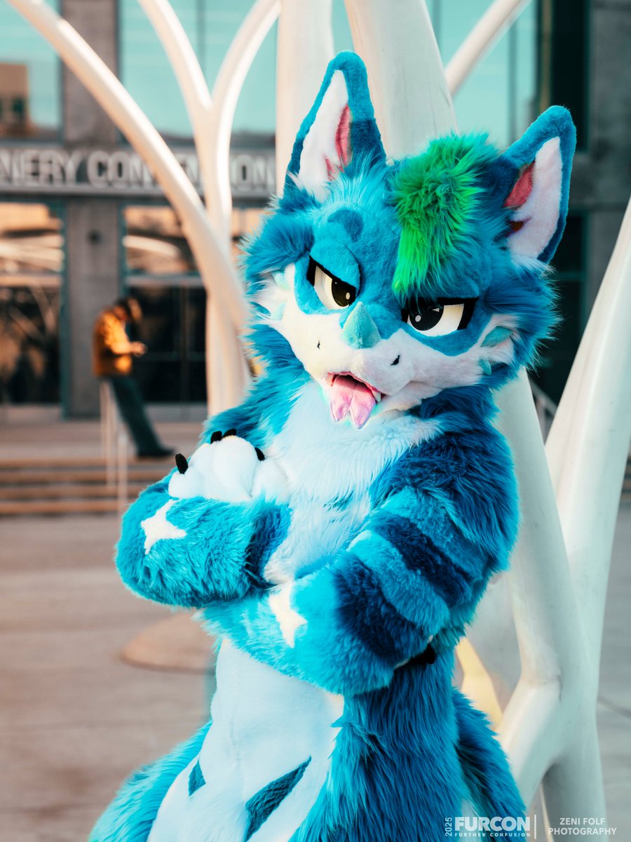 Tecario 🔜 LVFC tweet media