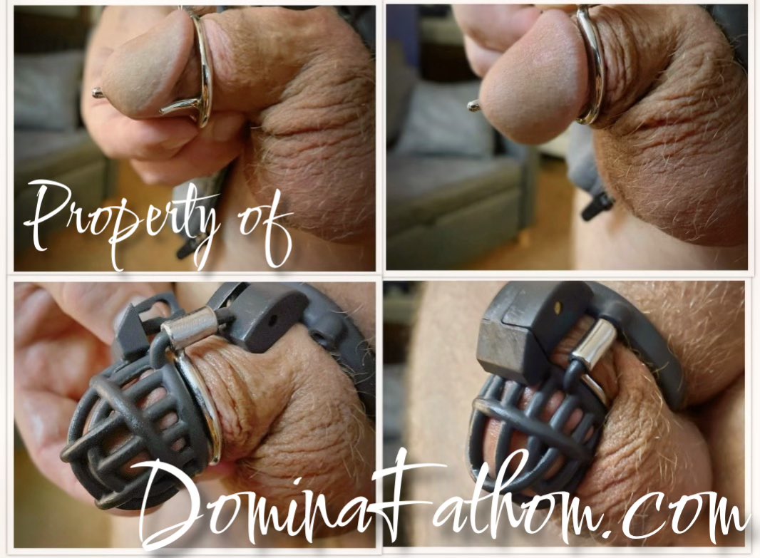 Domina Fathom • Chicagoland tweet media
