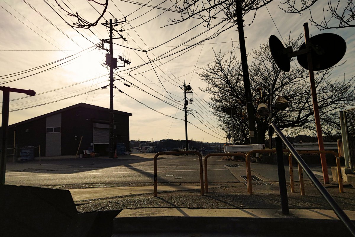 早乙女ボブ (@bob_saotome) on Twitter photo 