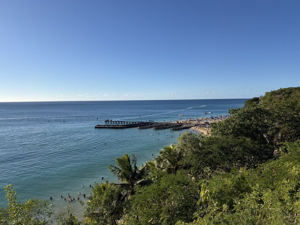 Feng Chu tweet media