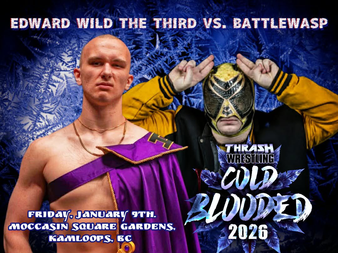 BattleWasp tweet media