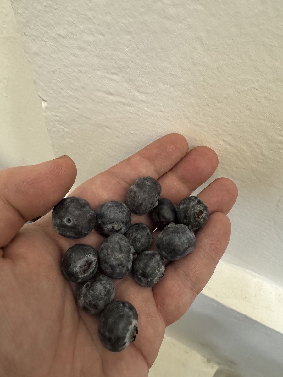 Feliz 2026 desde Ucrania.

Ojalá sea este el año de la paz.