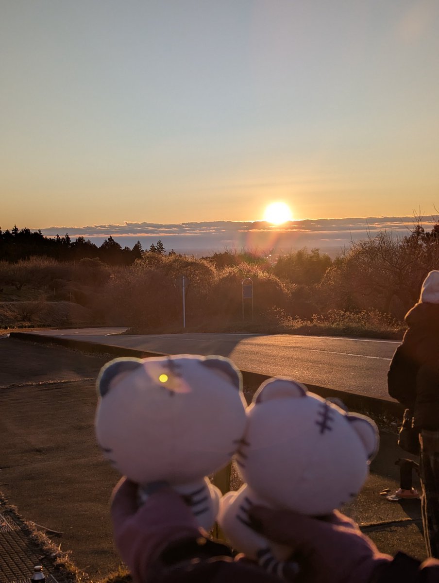 とらさん☆書き初め☆正月⑲ Post by トラキチ on X: 初日の出