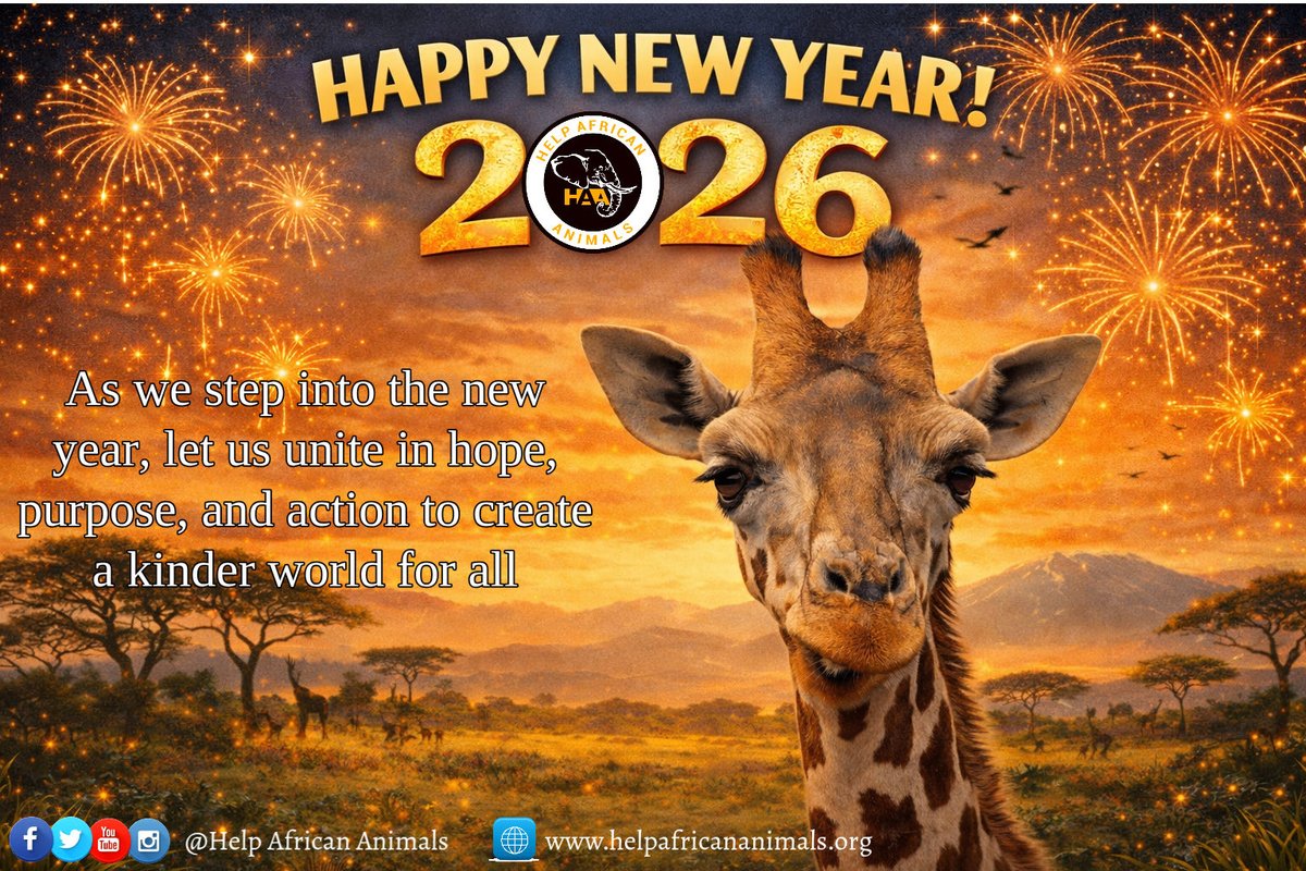 Help African Animals tweet media