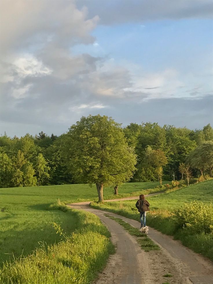 greenvibe's tweet image. 