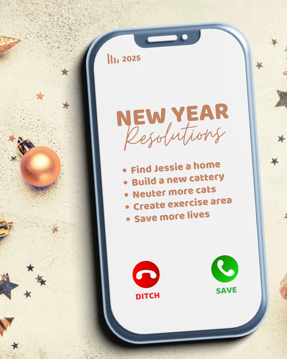 THANK YOU to all our followers, adopters, donors, volunteers for an incredible 2025! We have even bigger plans for 2026! We pray that as we neuter &amp; educate that the amount of unwanted animals decreases #NewYear2026 #NewYear #NYE #NewYearResolution