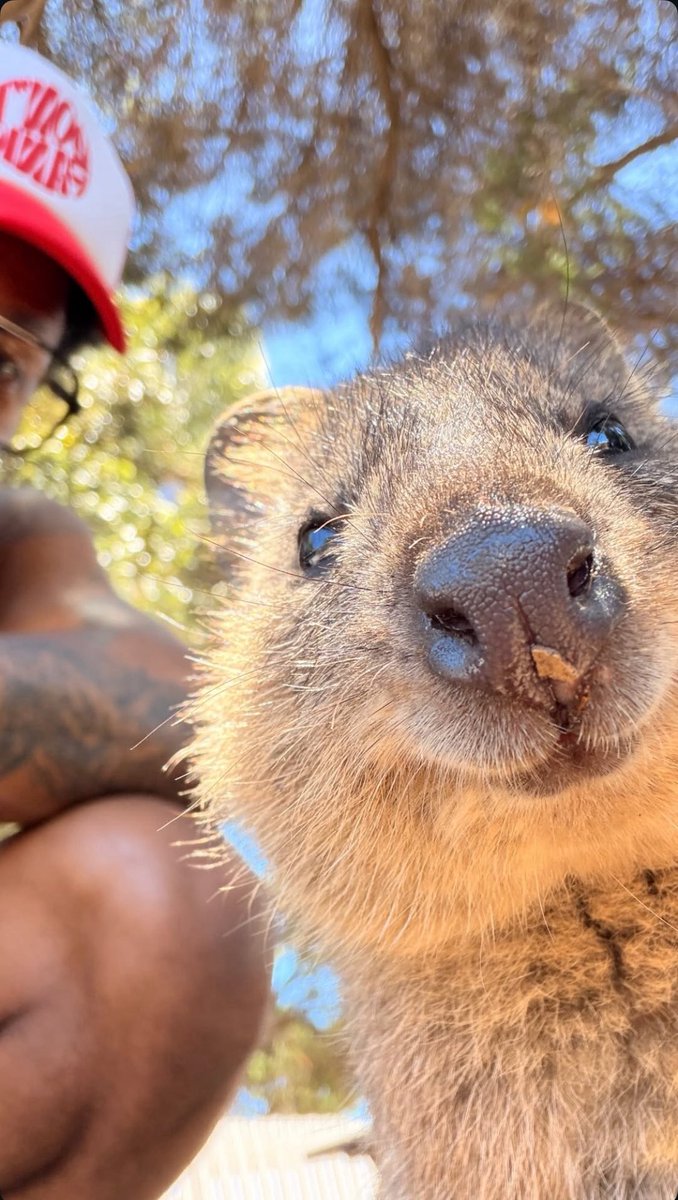 Kaytranada en Australie ☀️🇦🇺