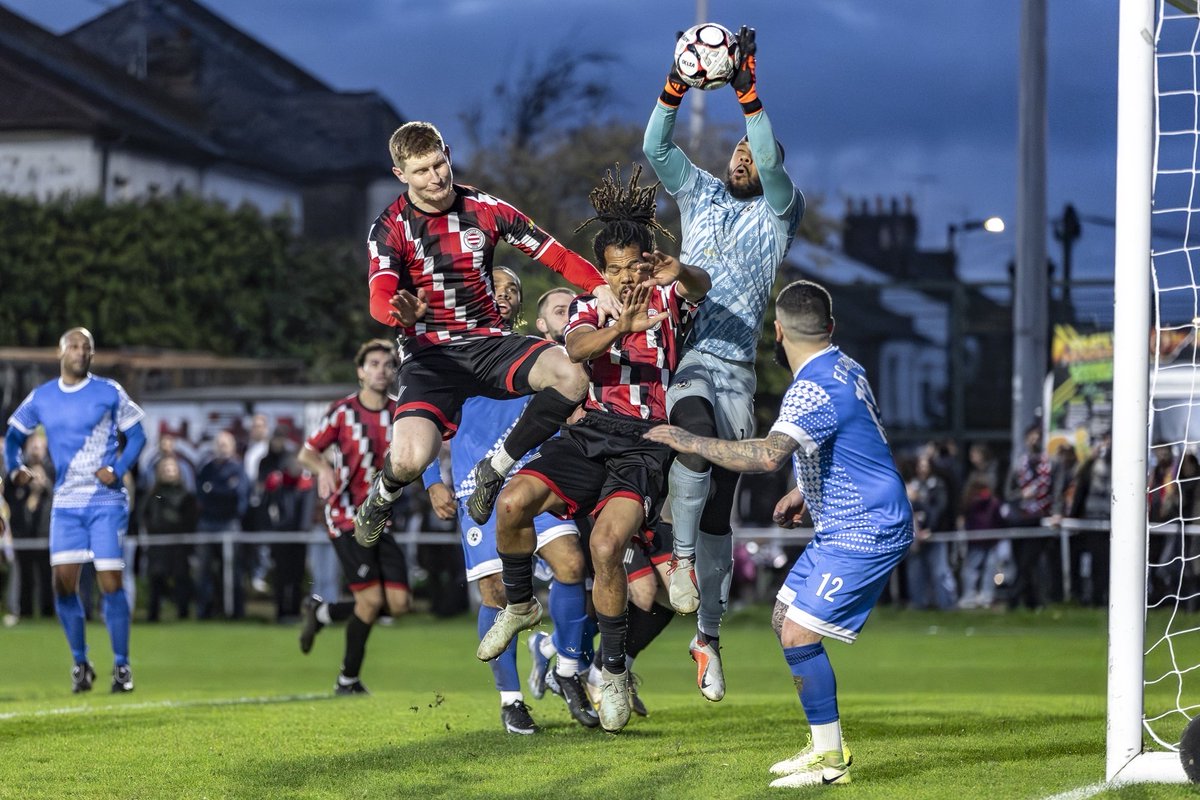 Free Agent Showcase tweet media