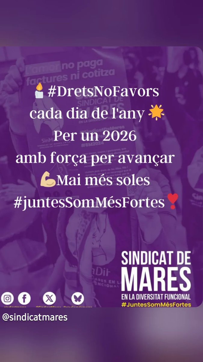 Sindicat de Mares en la Diversitat Funcional tweet media