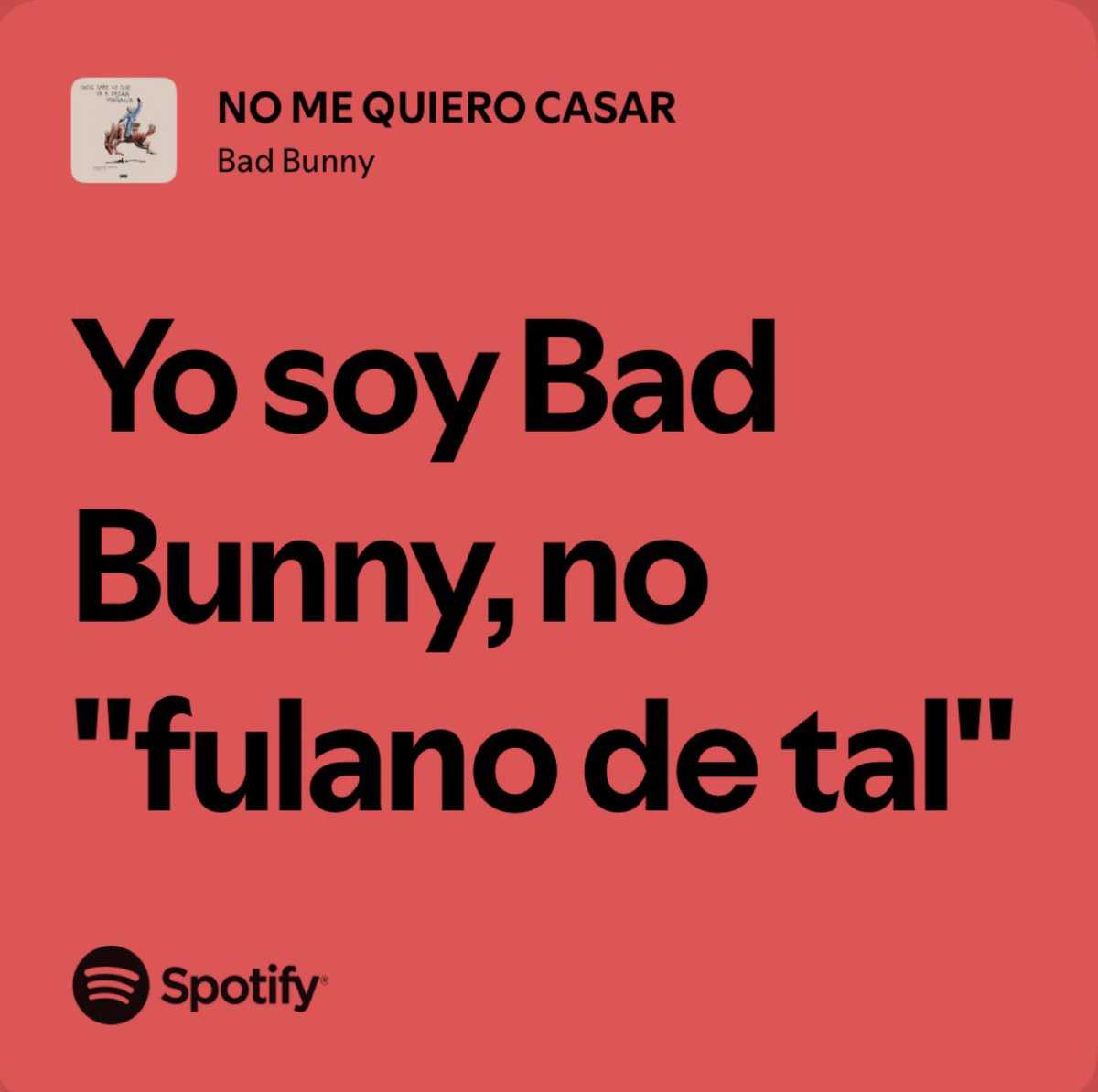 zuaopedro's tweet image. 