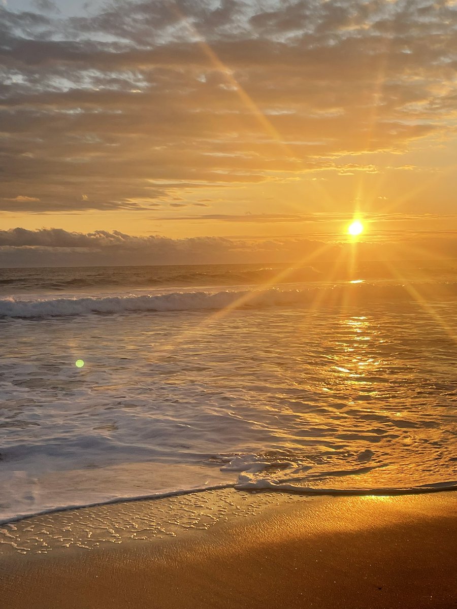 M.NUMATA tweet media