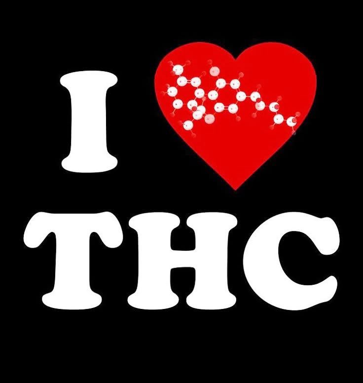 HighAngel's tweet image. 